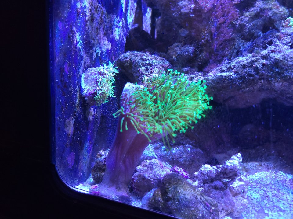 20230129_130054.jpg