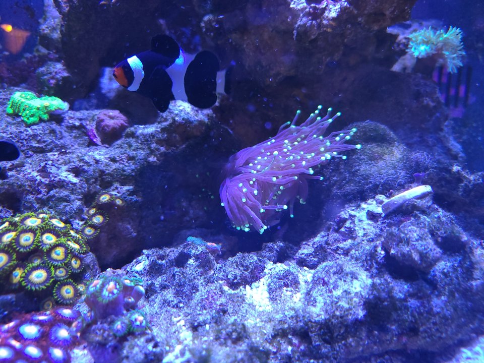 20230129_130109.jpg