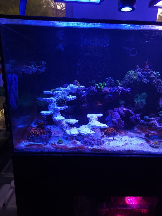 20230129_135214.jpg