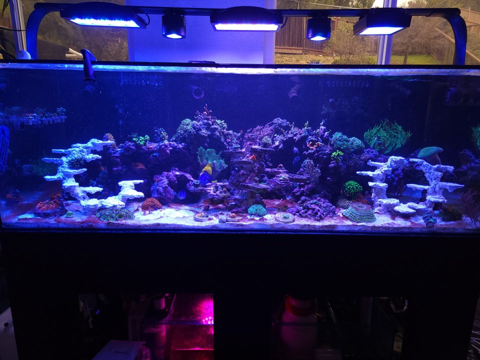 20230129_143943.jpg