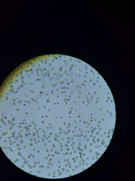 20230129_202412.jpg
