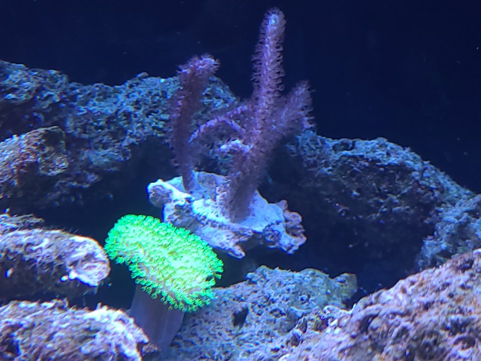 20230131_110140.jpg