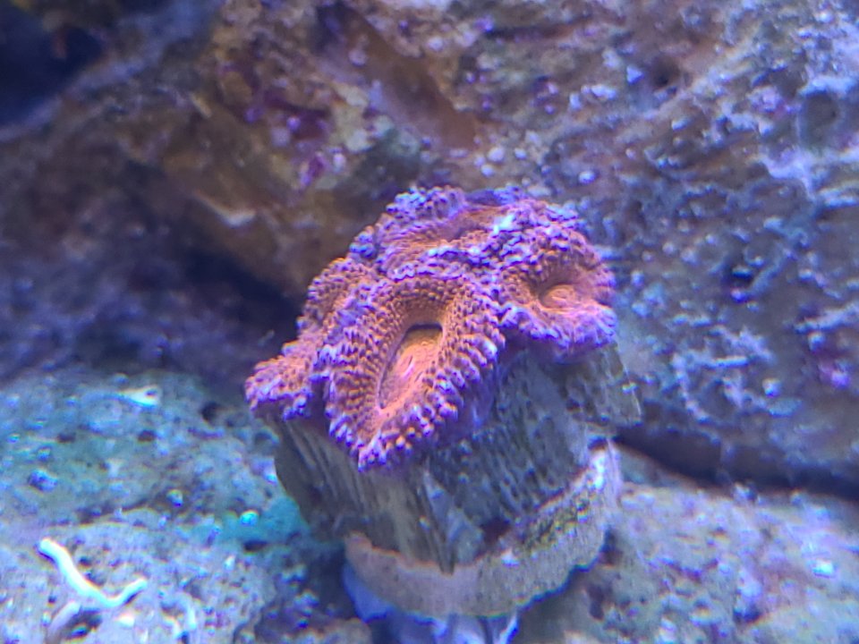20230131_110152.jpg