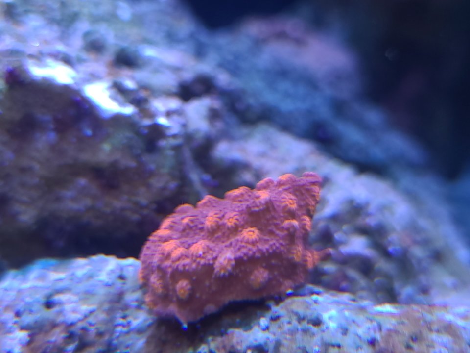 20230131_110235.jpg