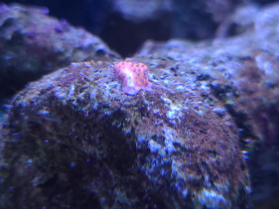 20230131_110248.jpg