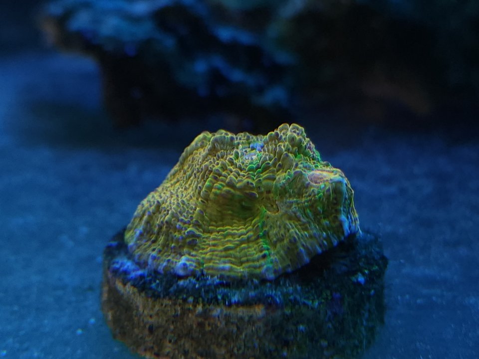 20230206_081502.jpg