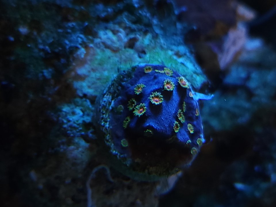 20230206_081554.jpg