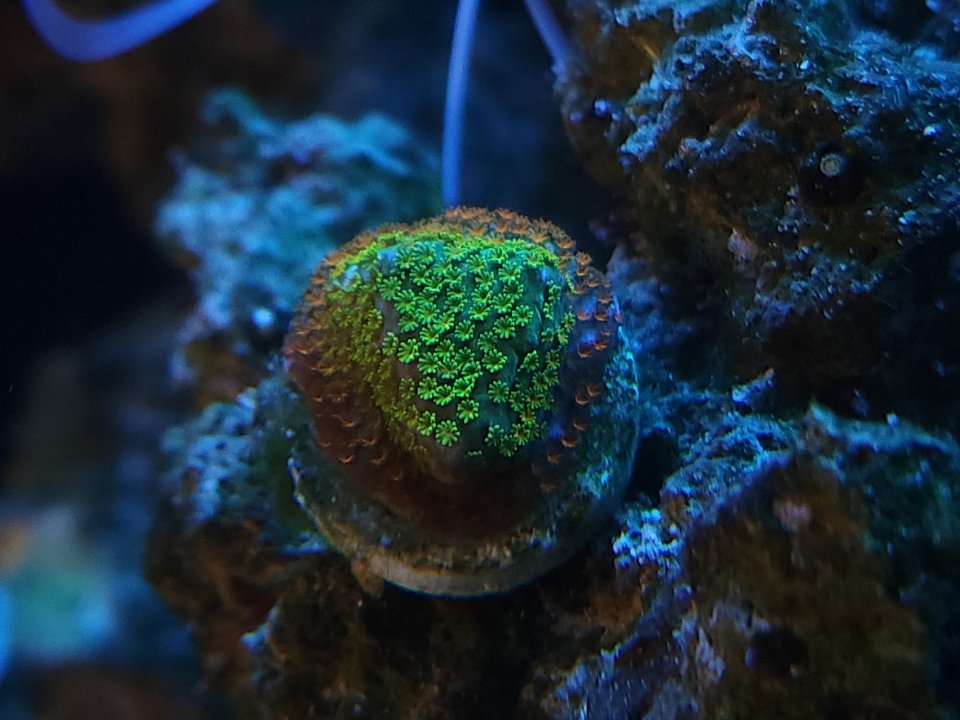 20230206_081603.jpg
