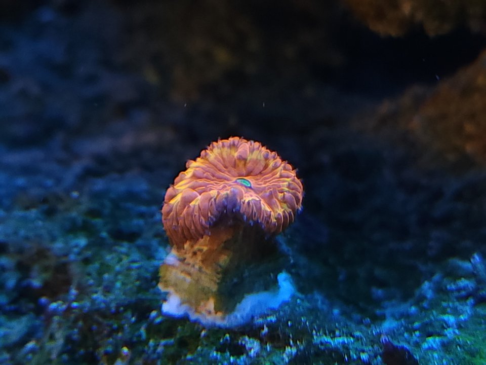 20230206_081613.jpg