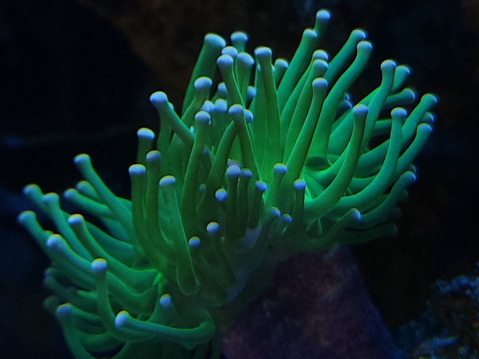 20230206_081714.jpg