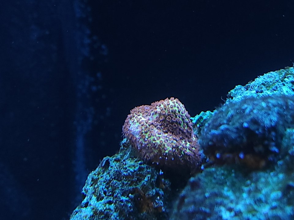 20230206_081820.jpg