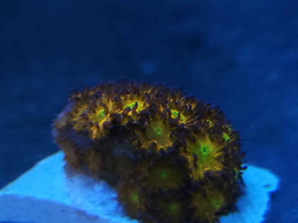 20230206_081840.jpg