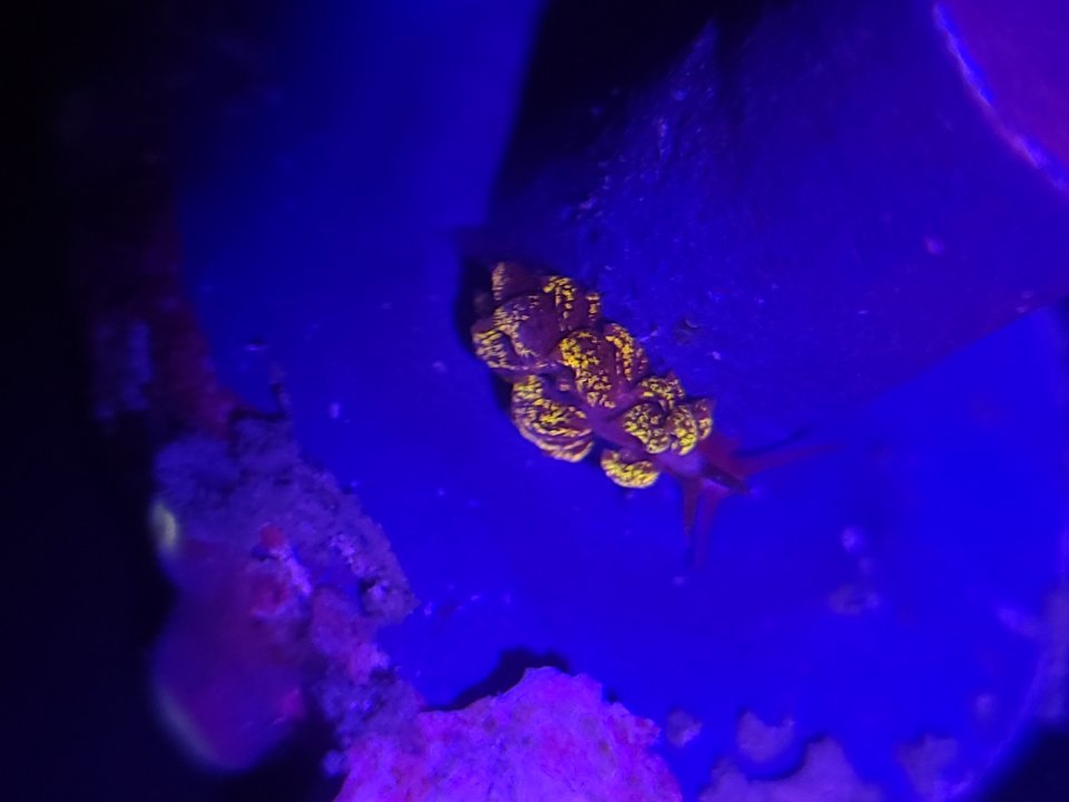 20230303_111550.jpg