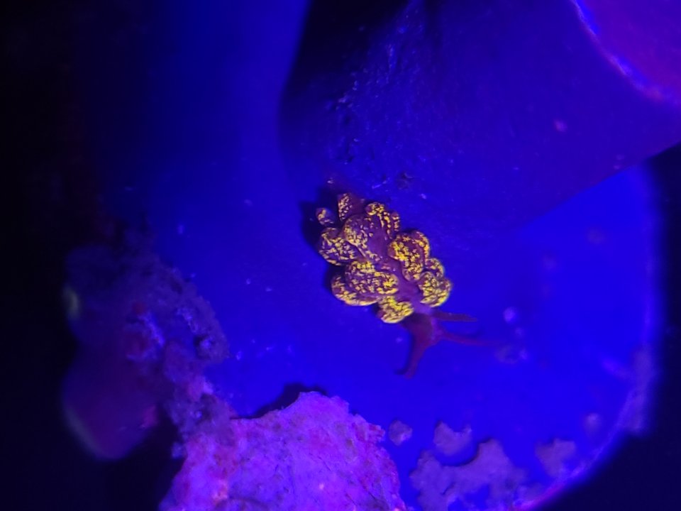 20230303_111556.jpg
