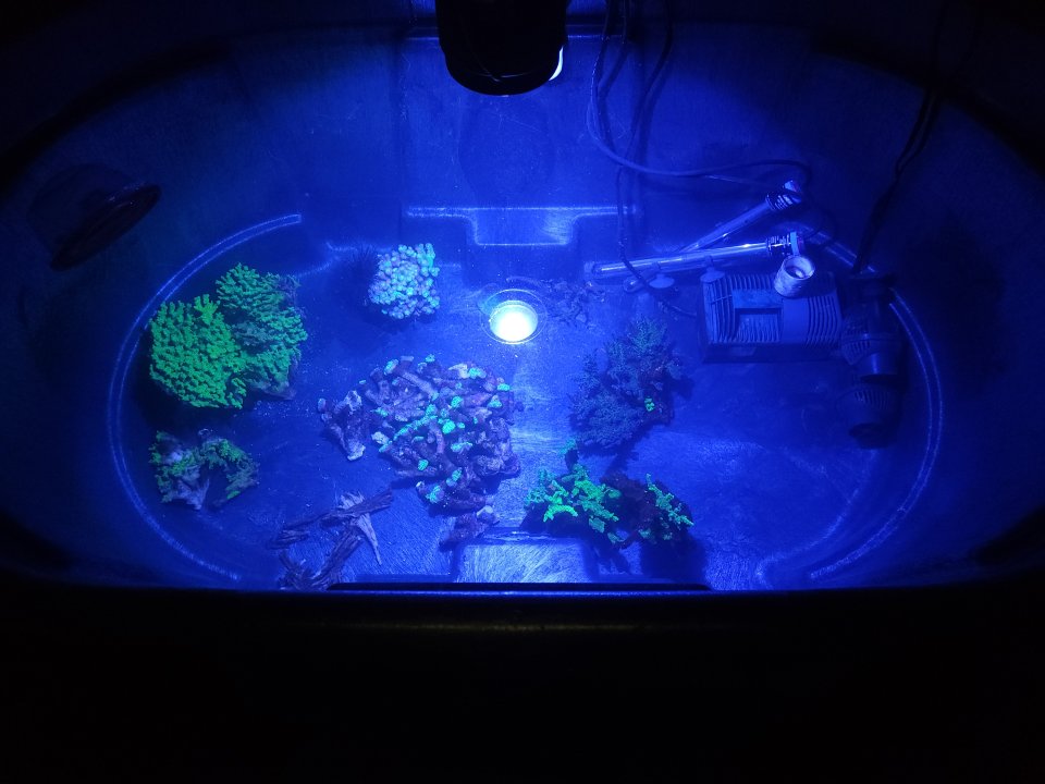 20230308_212727.jpg