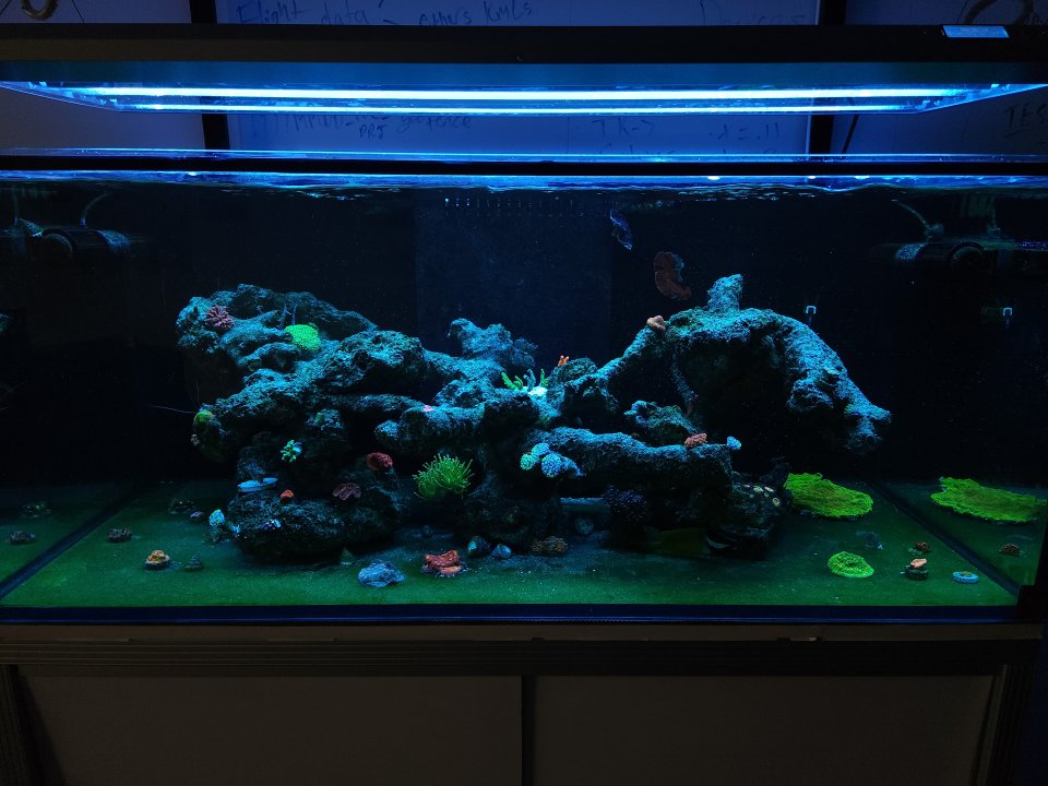 20230310_091741.jpg