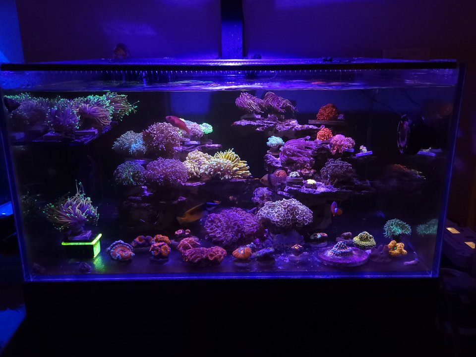 20230323_135607.jpg