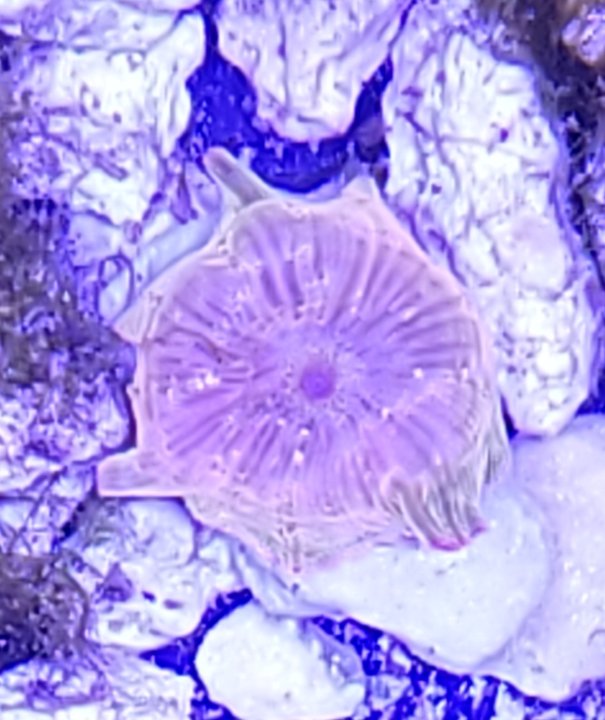 20230326_152721.jpg