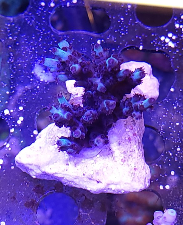 20230326_152816.jpg