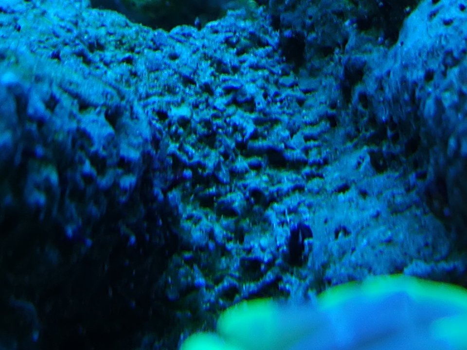 20230412_104600.jpg