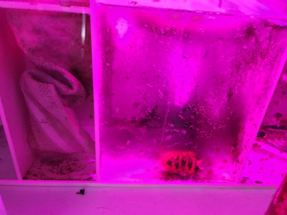 20230424_083344.jpg