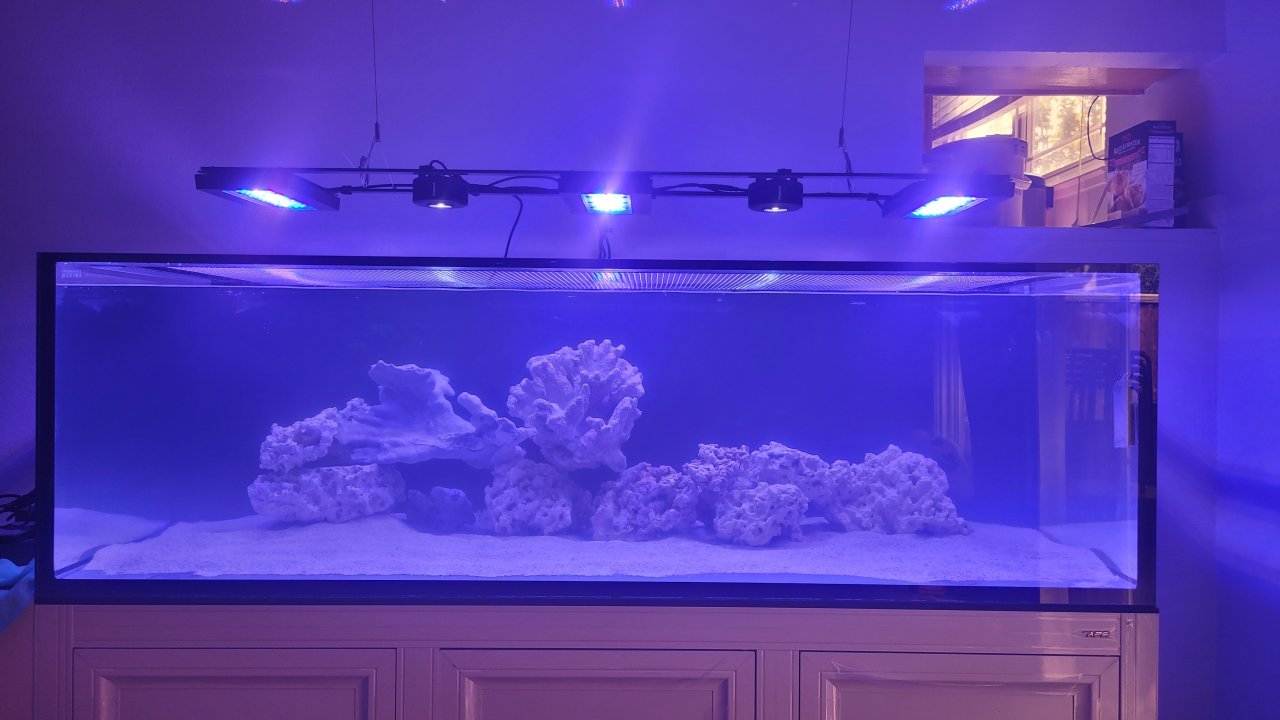 20230426_162407.jpg