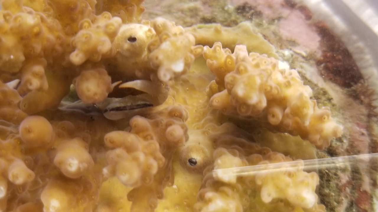 20230506_192819.jpg