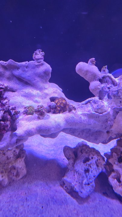 20230510_103544.jpg