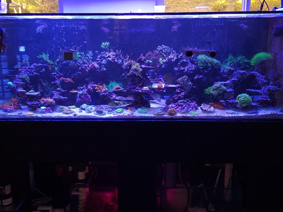 20230510_184951.jpg