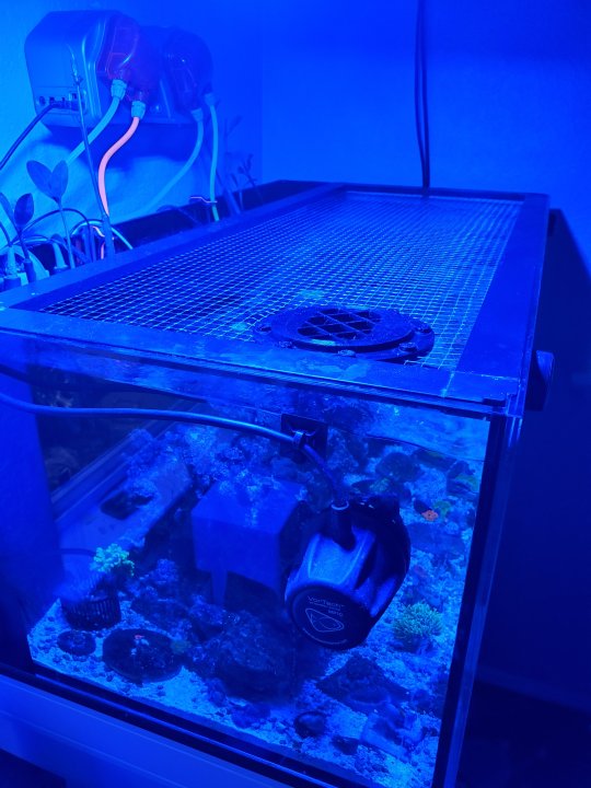 20230511_071424.jpg