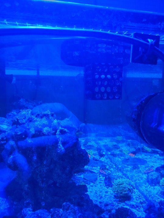 20230511_071444.jpg