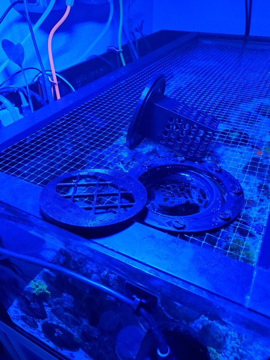 20230511_071454.jpg