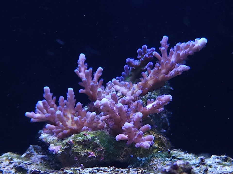 20230515_115114.jpg