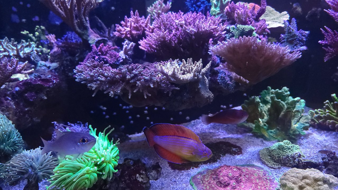 20230516_145428.jpg