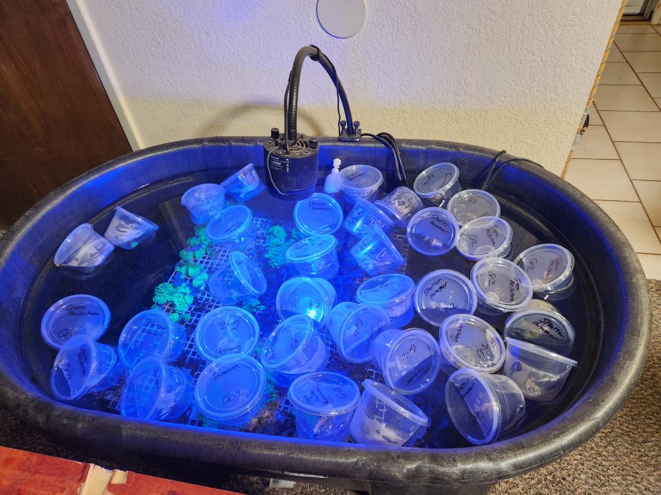 20230519_221437.jpg