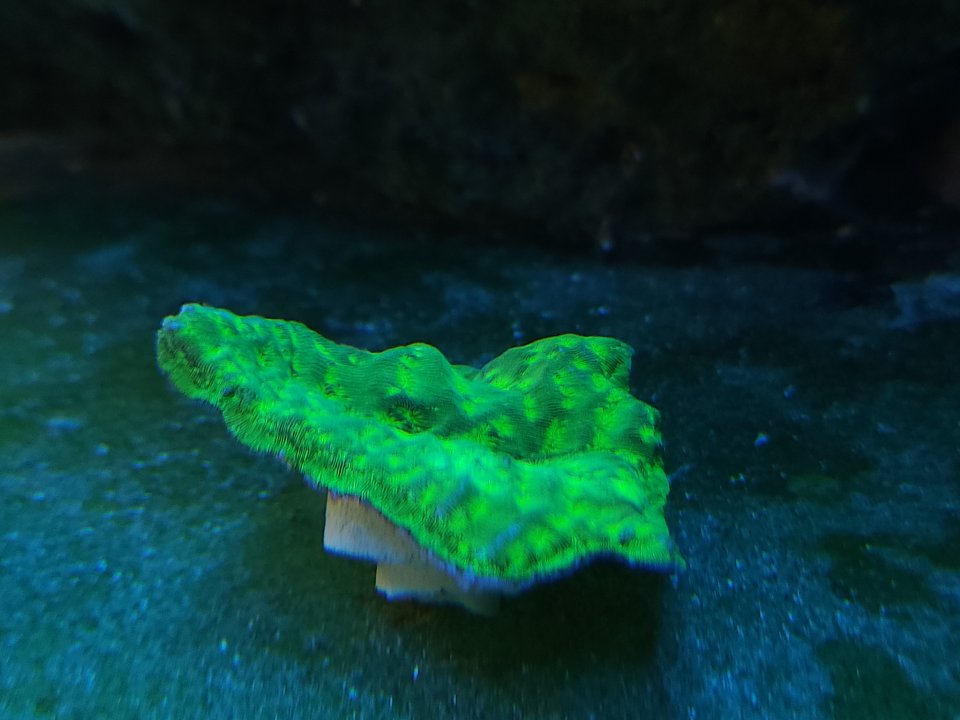 20230530_103046.jpg