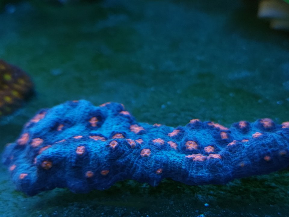 20230530_103052.jpg