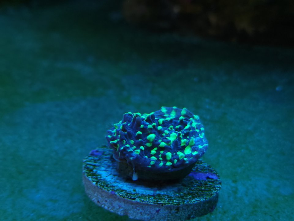 20230530_103210.jpg