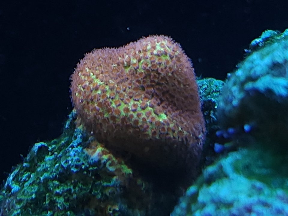 20230530_103358.jpg