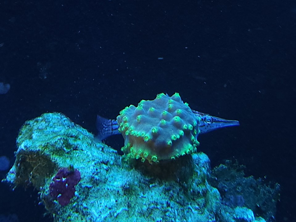20230530_103433.jpg
