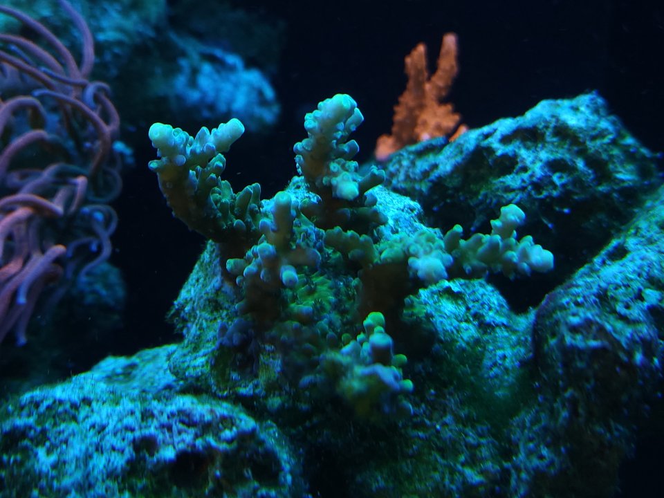 20230530_103446.jpg