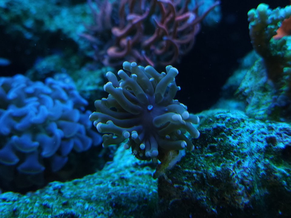 20230530_103451.jpg