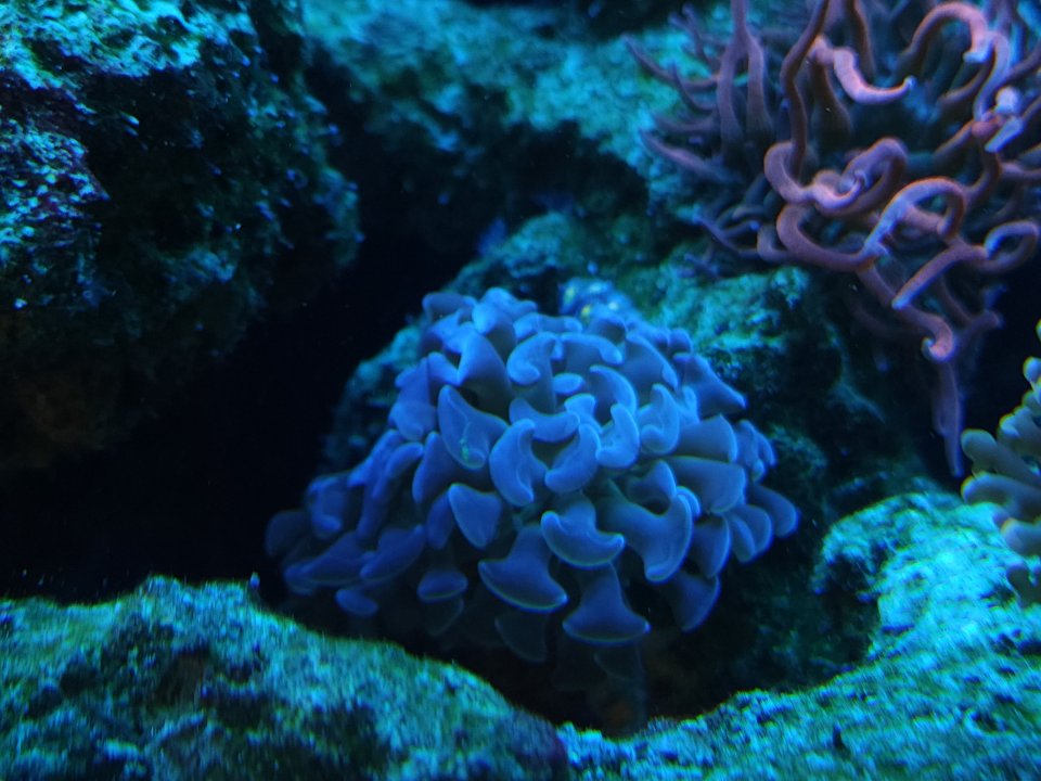 20230530_103456.jpg