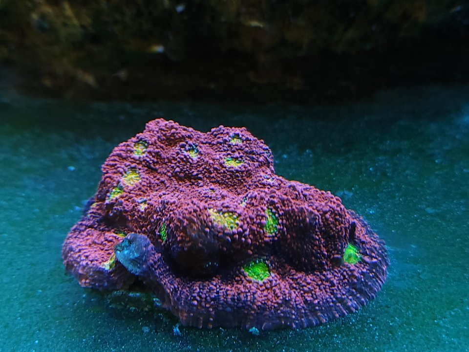 20230530_103551.jpg