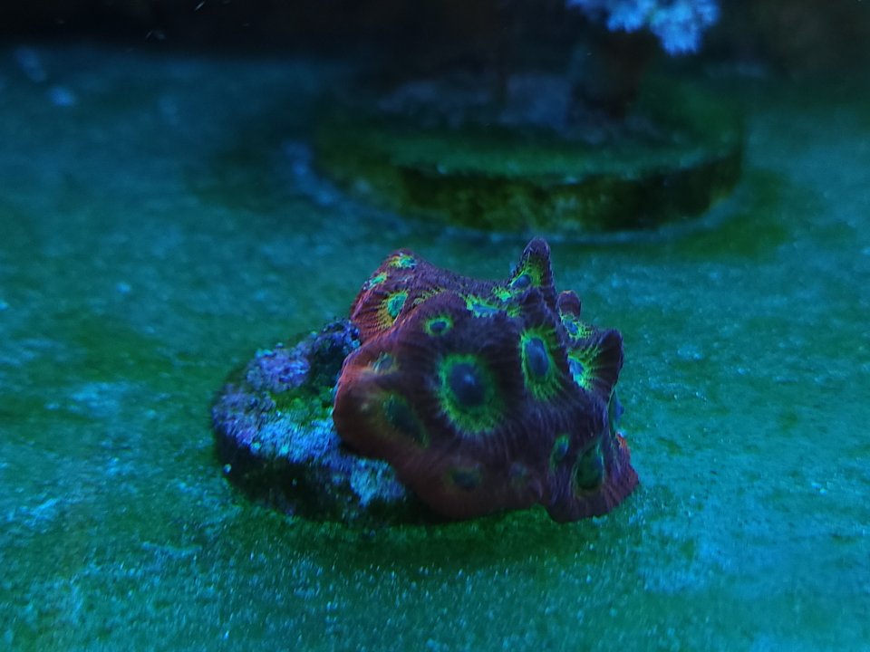 20230530_103622.jpg
