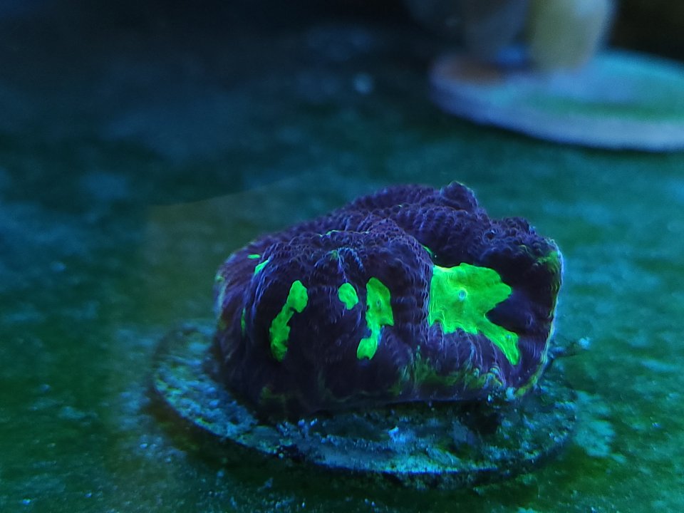 20230530_103627.jpg