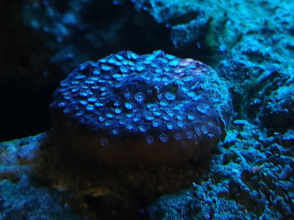 20230530_103714.jpg