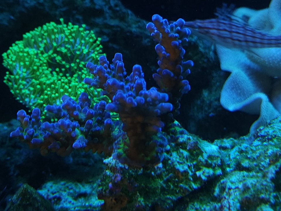 20230530_103733.jpg