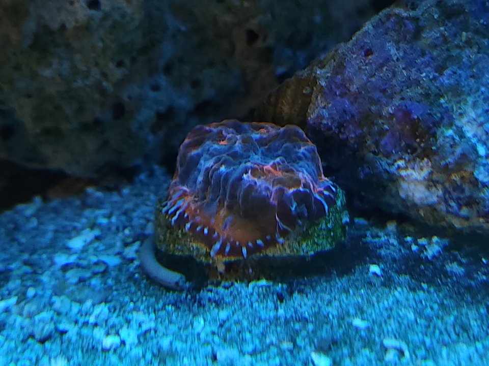 20230530_103806.jpg