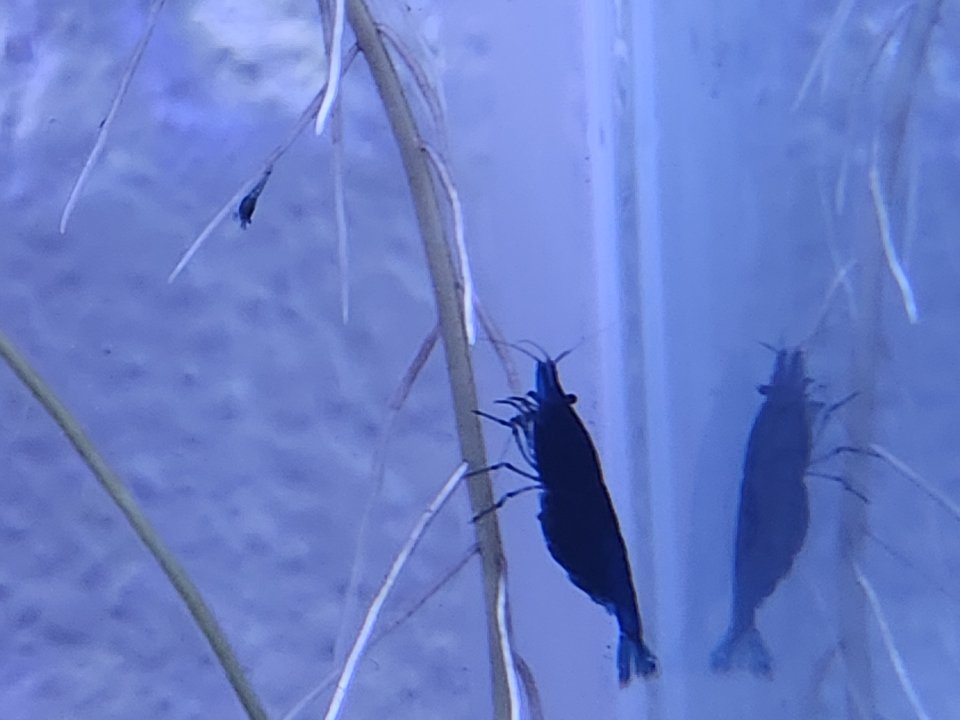 20230610_172903.jpg